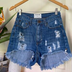 One X Oneteaspoon Denim Shorts x High Waist Bonita